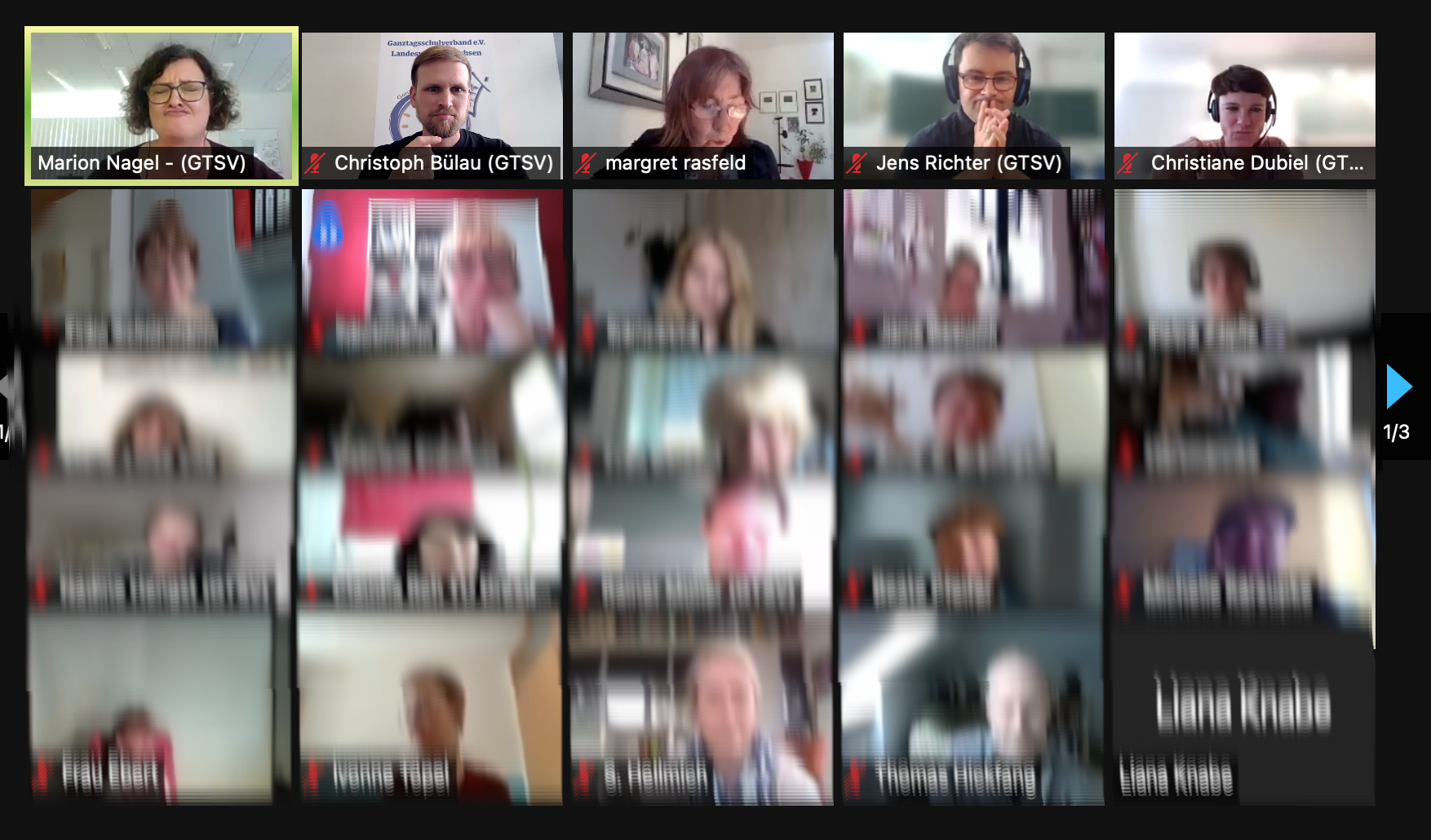 (Teilnehmende machen ihr Corona-Gesicht)